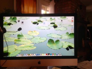 Lilly Pond Screen Saver